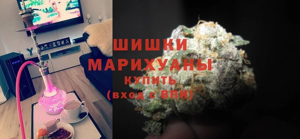 стаф Балахна