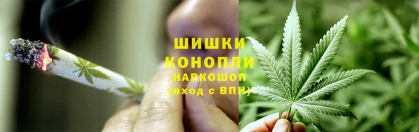 стаф Балахна